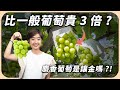 你吃過葡萄界的 LV 嗎 一串要價破千元 麝香葡萄到底是在貴什麼的 Liz 美食家 你吃過葡萄界的 LV 嗎 一串要價破千元 麝香葡萄到底是在貴什麼的 Liz 美食家