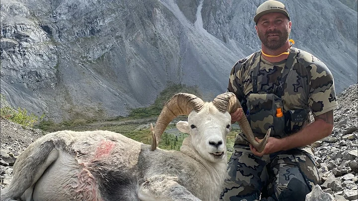 Dall Sheep Hunt 2021 (fannin)