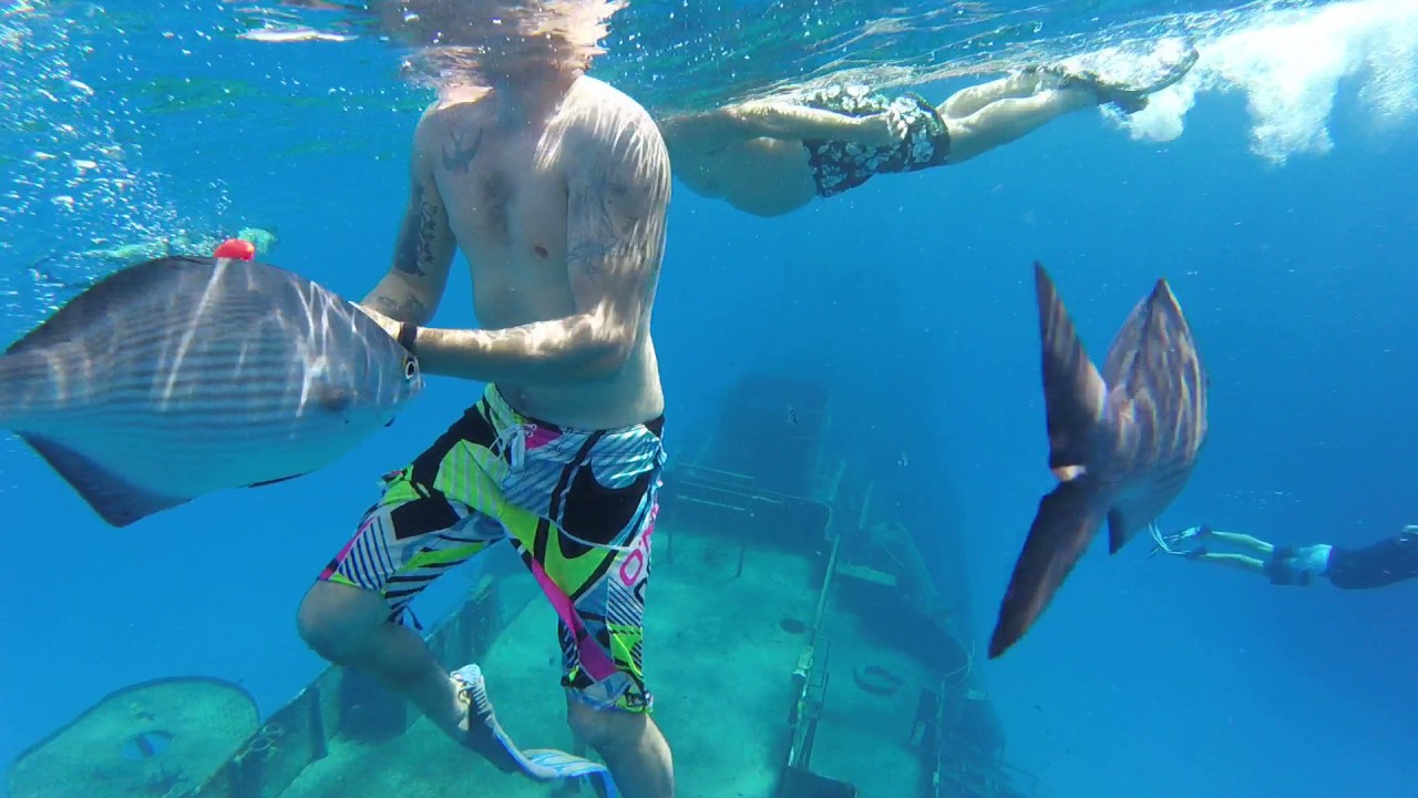 Grand Cayman snorkeling YouTube