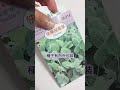 快樂鼠尾草 / Clary Sage｜看懂種子包裝｜事半功倍｜香草播種 第1集