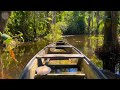 In the Heart of the Amazon | A Hidden Treasure: Balneário Bebel in Porto Velho – Rondônia