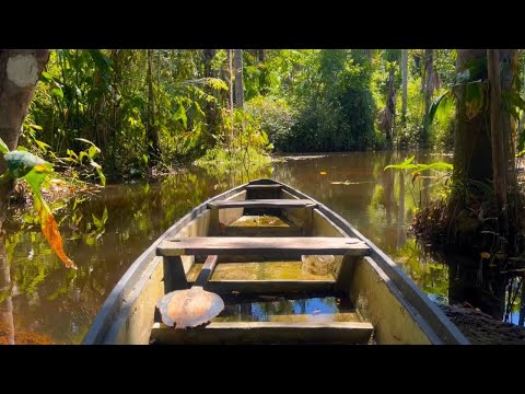 In the Heart of the Amazon | A Hidden Treasure: Balneário Bebel in Porto Velho – Rondônia