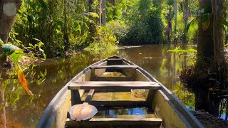 In the Heart of the Amazon | A Hidden Treasure: Balneário Bebel in Porto Velho – Rondônia