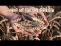 29 LORD of the SABBATH - Desire of Ages