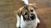 Short Movie / Короткометражки