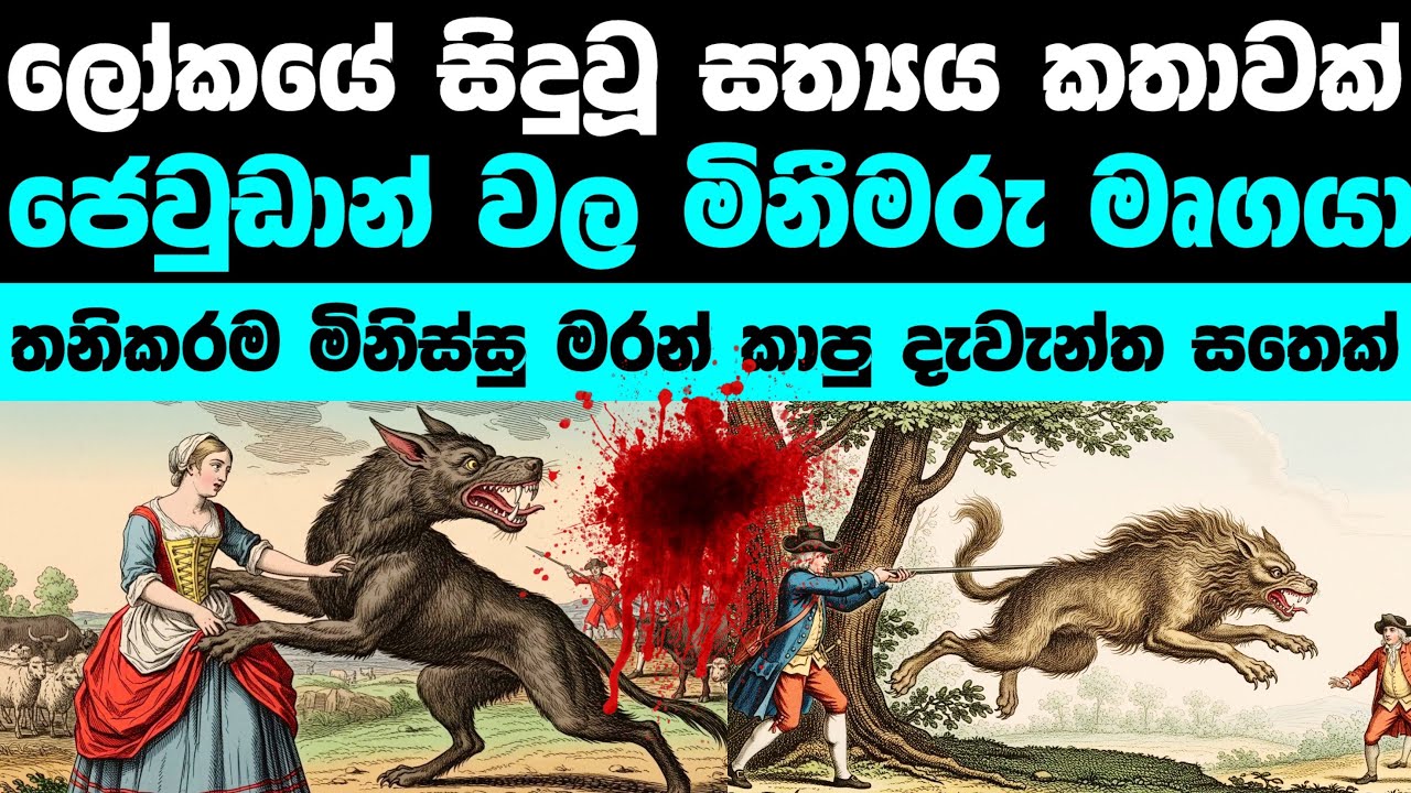 ගමක් බීතියට පත්කරපු අමුතු මෘගයා (සත්‍ය කතාවක්) | The Beast of Gévaudan