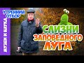 Зачем мне сетчатый слизень? Тимофей Левченко.