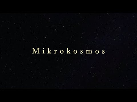 Mikrokosmos by Bela Bartok – Five short pieces for two guitars –Duo GolzDanilov