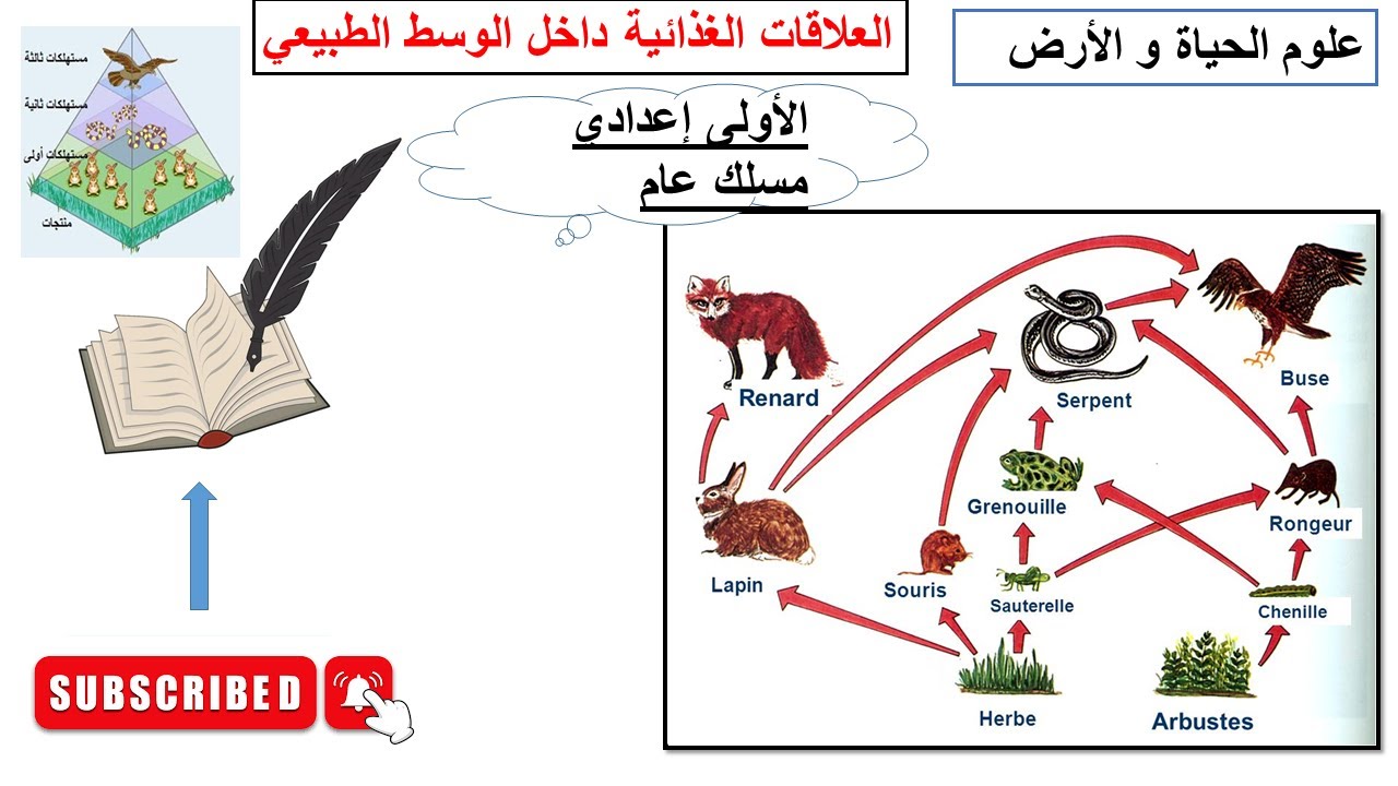 العلاقات الغذائية     درس في مادة علوم الحياة و الارض لتلاميذ السنة الاولى إعدادي مسلك عام