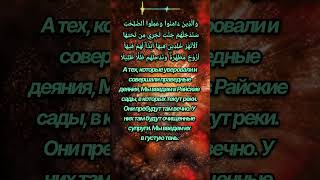 Сура Ан-Ниса 04:57 английский перевод Коран красивая декламация #shortsfeed #shorts #viralvideo