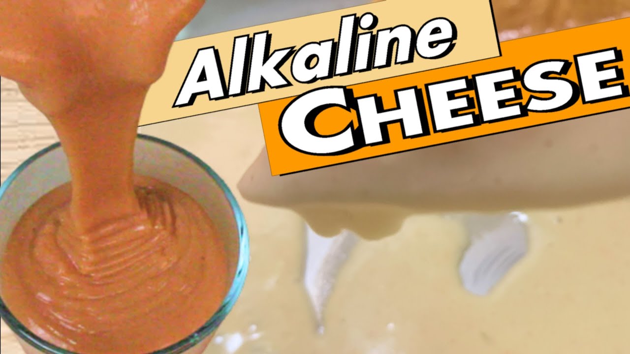 ALKALINE DAIRY FREE CHEESE RECIPE (MUST SEE)! // Before you make vegan cheese...WATCH THIS! 