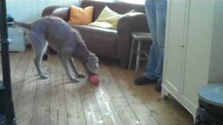 Clicker Retrieve 4