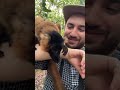 CURIOUS LEMUR FAMILY WANTS PHONE SELFIES WITH ME! WILD LEMURS IN MADAGASCAR #shorts