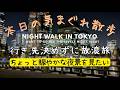 【東京散歩】のんびりと明るめな場所に行きたい【東京駅周辺スタート】| Walking Tokyo