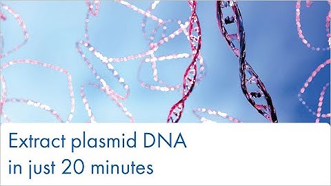 Extract plasmid DNA in 20 minutes!