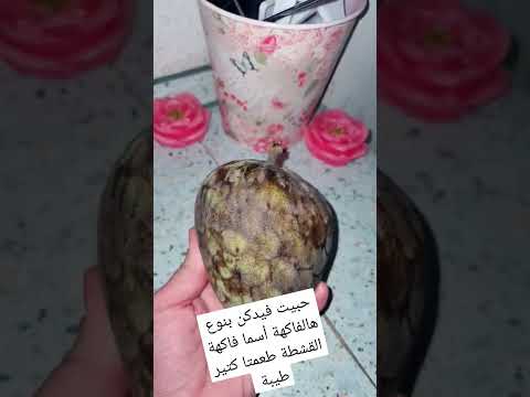 فاكهة فواكه القشطة  المانيا  