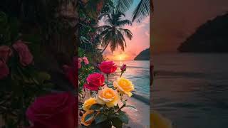 Nura Öz - Leylayım (İnstrumental)