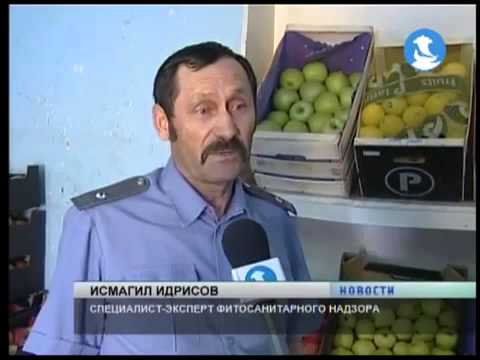 О выявлении факта реализации фруктов и овощей сомнительного происхождения