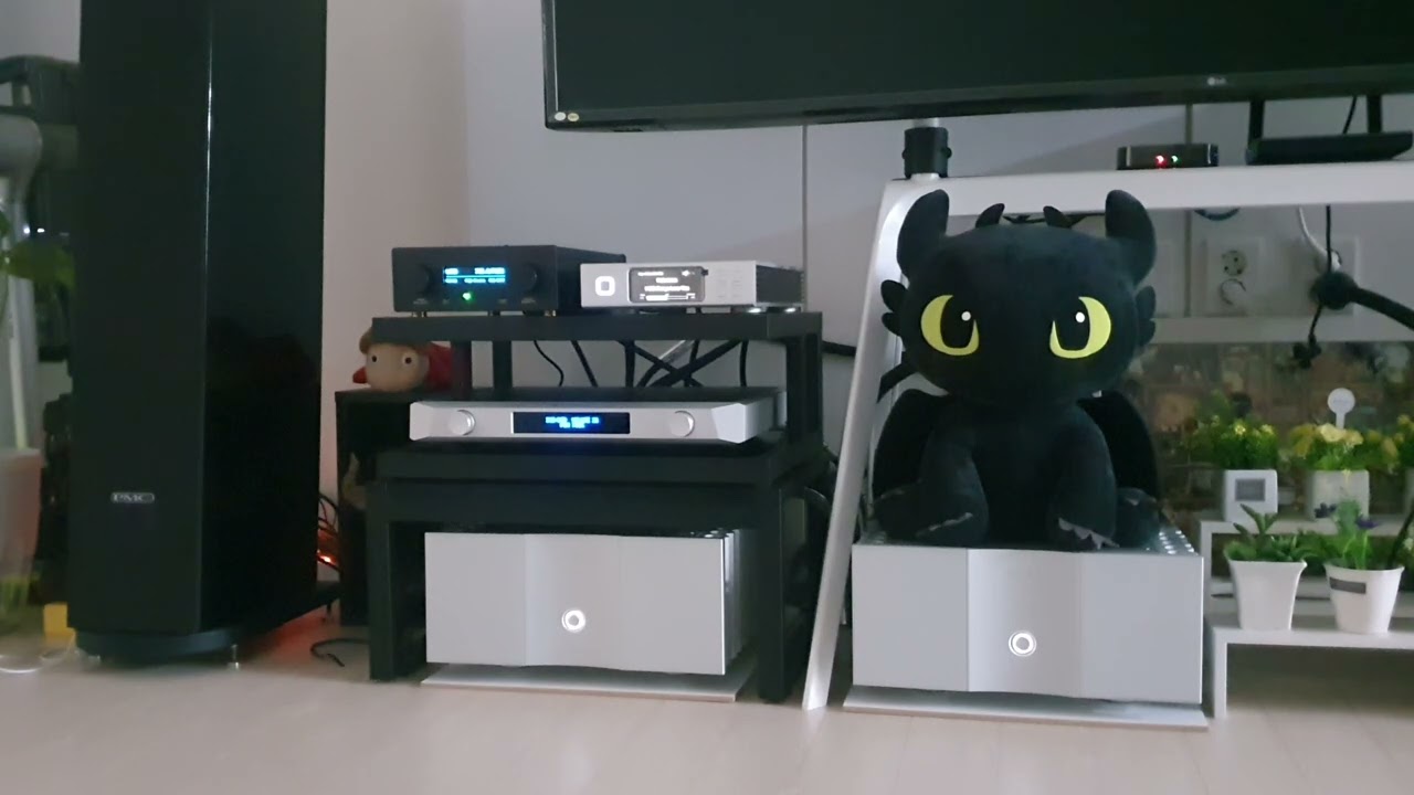 Aurender N100H/JAVS J-DDC/Nuprime Evolution.../I Will Always Love You - Halestorm