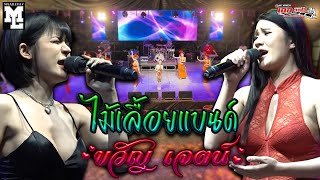 ไม้เลื้อยแบนด์ มงคลสมรส ขวัญ เจตน์ บ้านอยู่ประจำ อ.บ้านใหม่ จ.นนทบุรี [26-12-68]