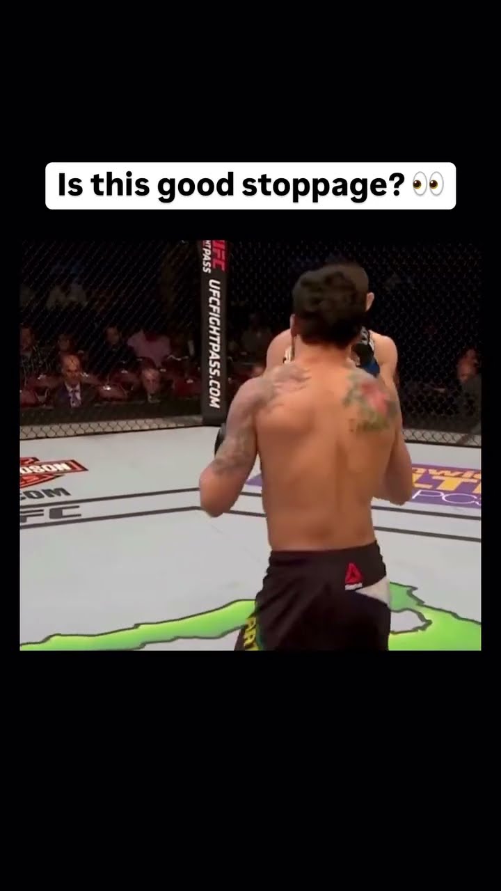 What you think? ??? Via - @ufc #ufc #mma #knockout