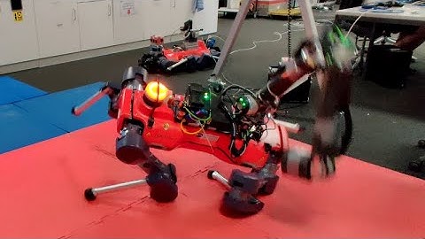 Learning Arm-Assisted Fall Damage Reduction and Recovery for Legged Mobile Manipulators
