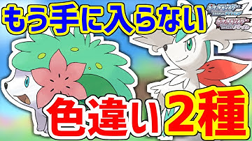 【BDSP】現在入手方法無し！色違いシェイミを2種類ゲットするぞ！！！！