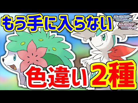 【BDSP】現在入手方法無し!色違いシェイミを2種類ゲットするぞ!!!!