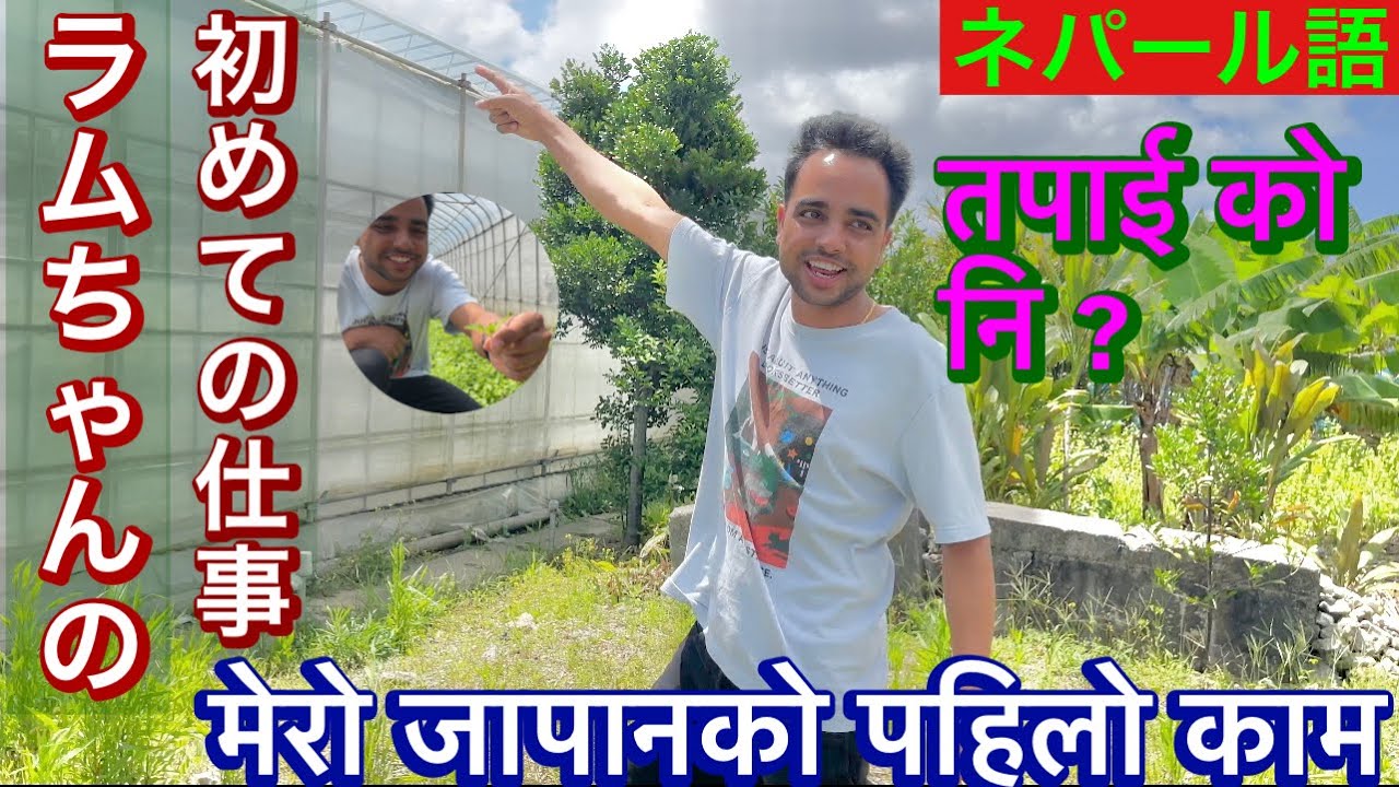 Japan ko first job agriculture!!kasto hunxa ta japan ko kaam!!