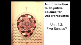 Unit 4.2: Five Senses?