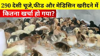 290 देसी चूजे,फीड और मेडिसिन खरीदने में कितना खर्चा हो गया(Local chicken farming)