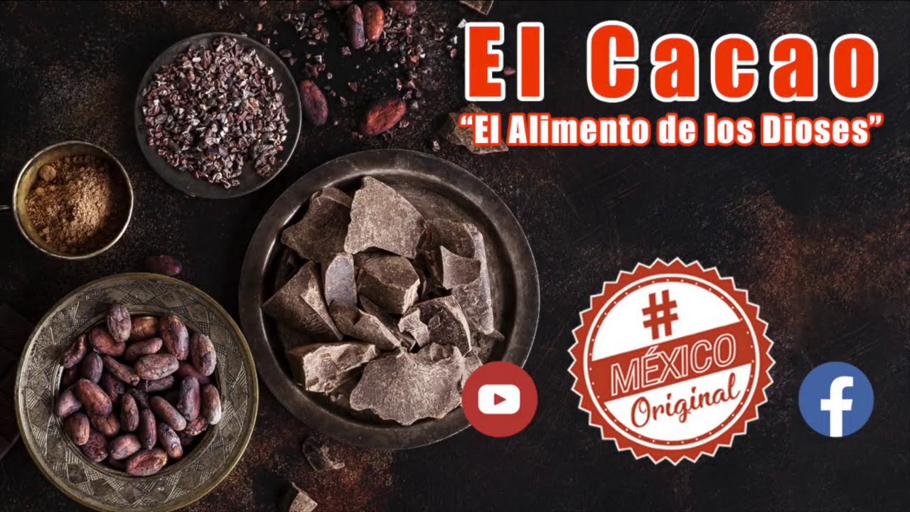 El Cacao "El Alimento de los Dioses" | Investigación, la historia - YouTube