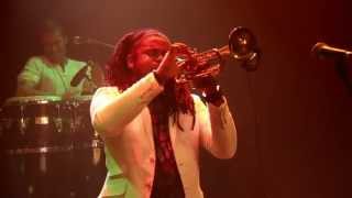 Machete  Trumpet solo by Yuliesky Gonzalez