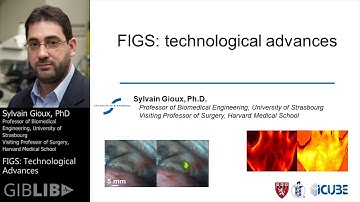 Preoperative Diagnosis: Technological Advances by Sylvain Gioux, MD | Preview