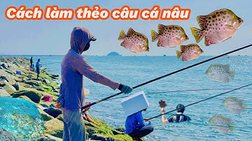 Cách Làm Thẻo Câu Cá Nâu Câu Kè Số 3 Ngày 1