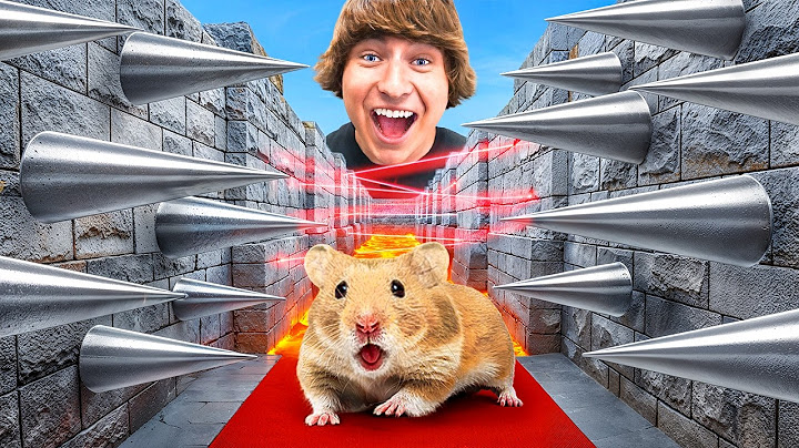 Eu Construí um Labirinto Extremo de Hamster no Minecraft!