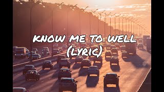 KNOW ME TOO WELL   (lyric) New Hope Club ft  Danna Paola Acoustic Cover || Nadine Abigail