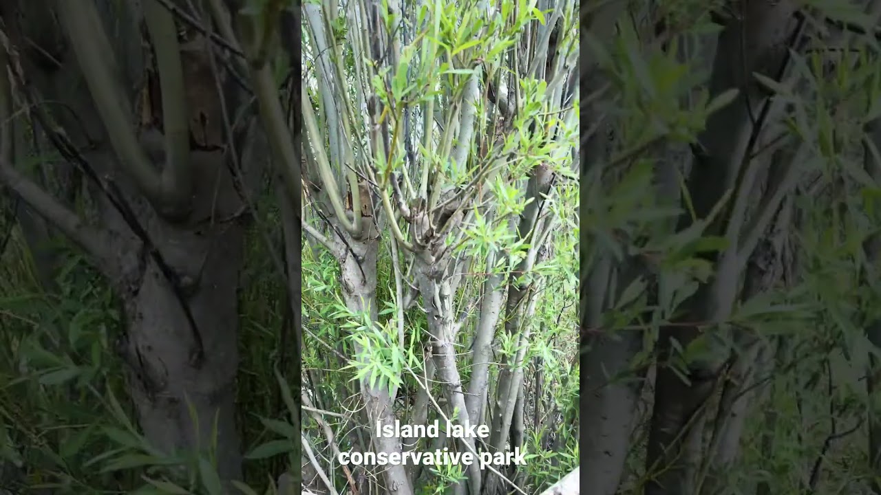 Weekend getaway from Toronto