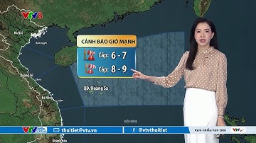 Dự báo thời tiết biển ngày 16/12/2025 | Cảnh báo gió mạnh và sóng lớn | VTVWDB