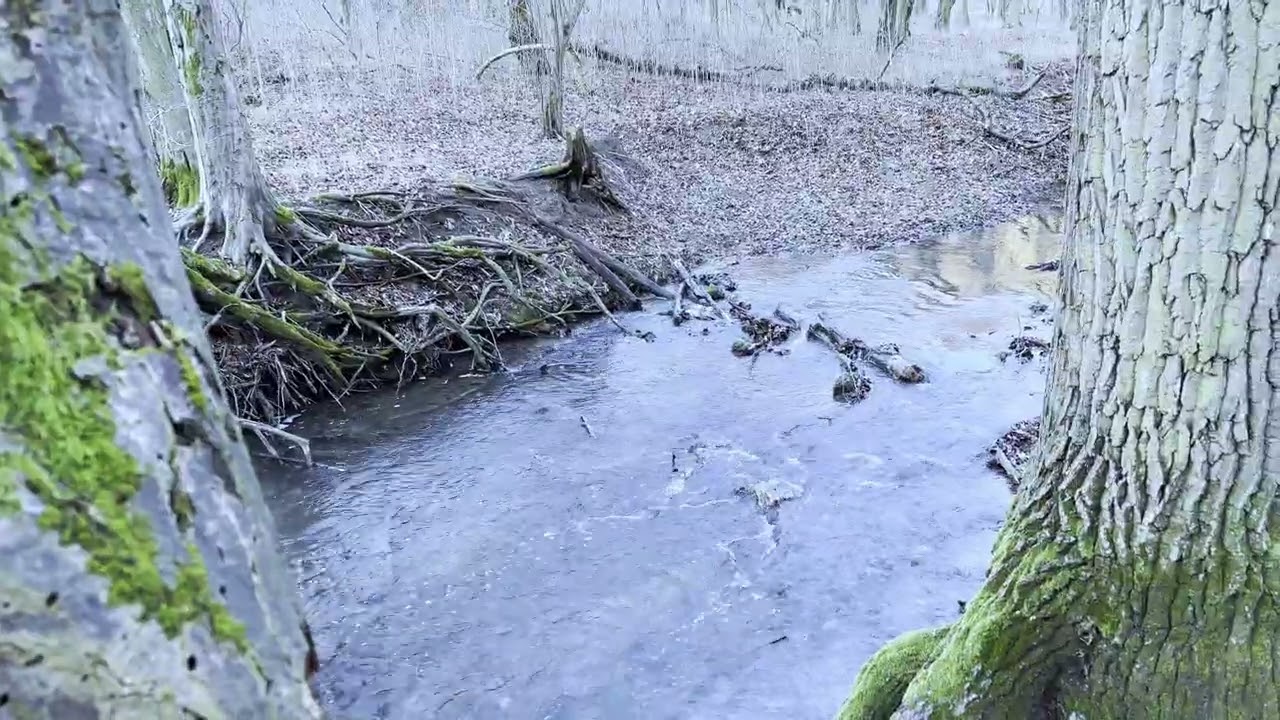 ASMR | Gaja Gorge – The Most Scenic Stream Valley in the Bakony Mountains