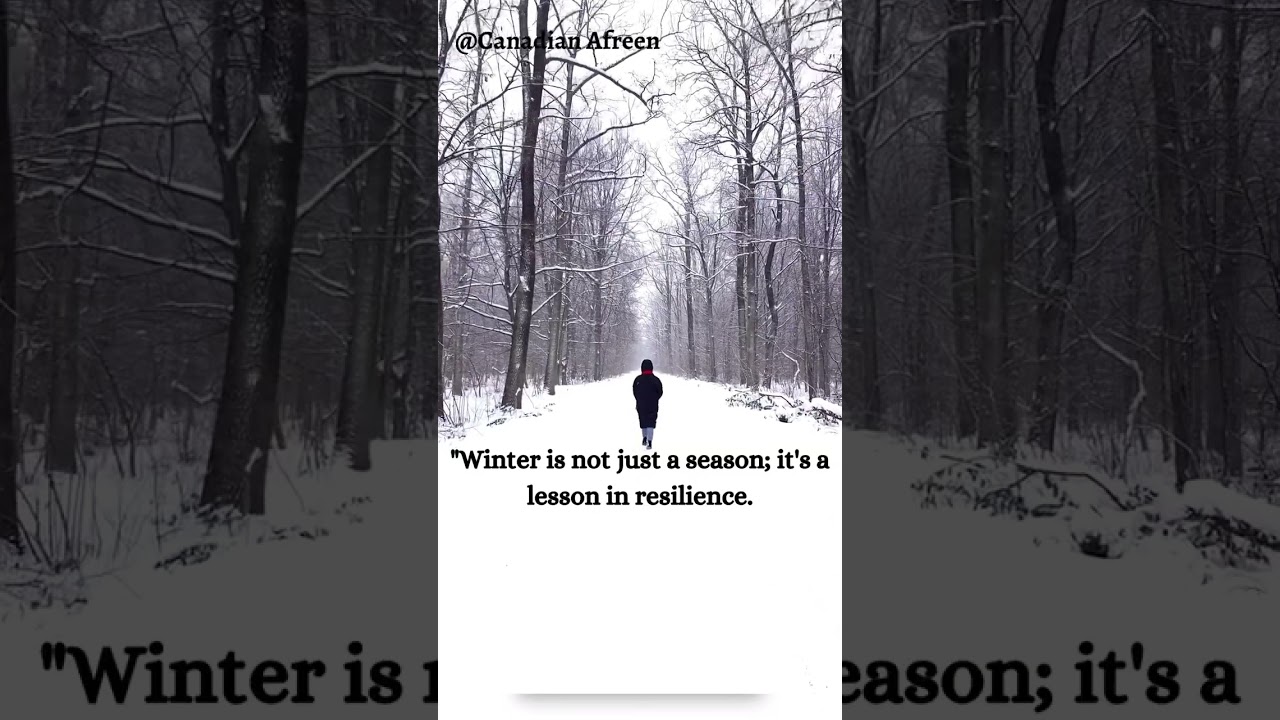 A Winter Wonderland ❄️✨ 