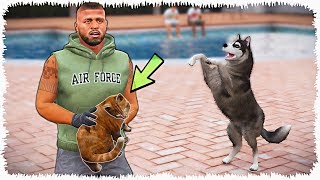:     (GTA V)