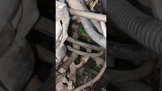Celebrity coolant leakage #car #shorts Net Worth