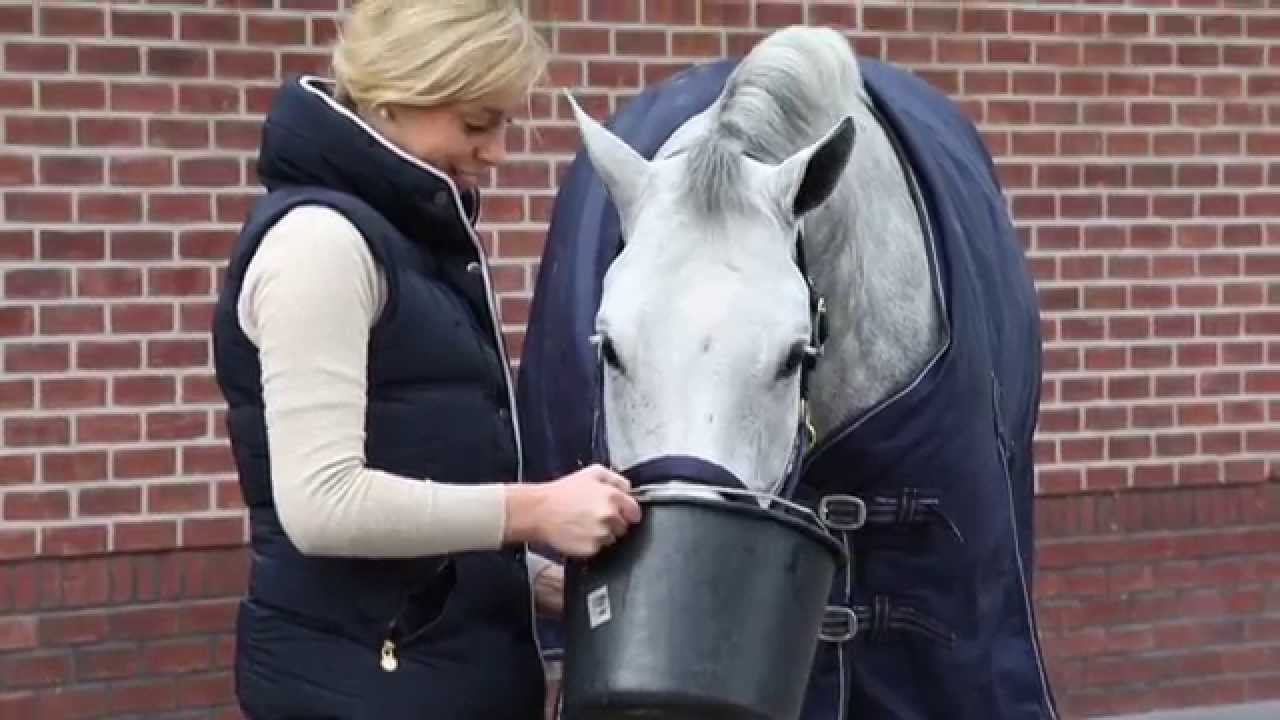 Sectolin Equivital Electrolyten