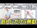 【二の腕痩せ】揉むより先に肩甲骨を剥がせ！肋骨と肩甲骨を整える最強エクササイズ【ピラティス】