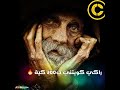 Cheb Bilal 2019 Clip Officiel Statut WhatsApp C Est La Vie Bssah Chouia Cheb Bilal 2019 Clip Officiel Statut WhatsApp C Est La Vie Bssah Chouia