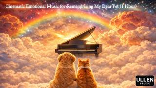Rainbow Bridge Piano | Cinematic Emotional Music for Remembering My Dear Pet (1 Hour) screenshot 3