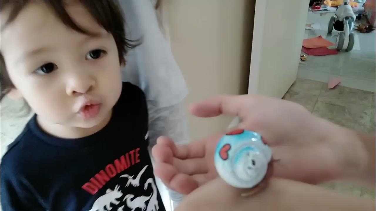 Why Won't My Hermit Crab Come Out Of Its Shell www.youtube.com