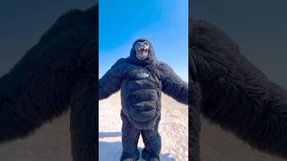 Gorilla Is Here..! 🦍😅 #foryou #shorts #entertainment