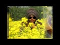 PARSONAL VIDEO PROJECT SONGS